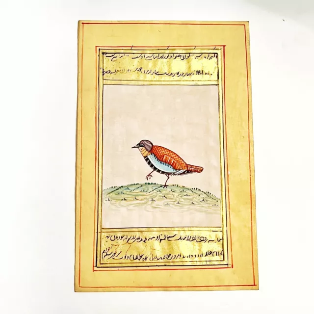 Middle Eastern Artwork Painting Of A Bird On Antique Urdu Book Leaf Decor — D