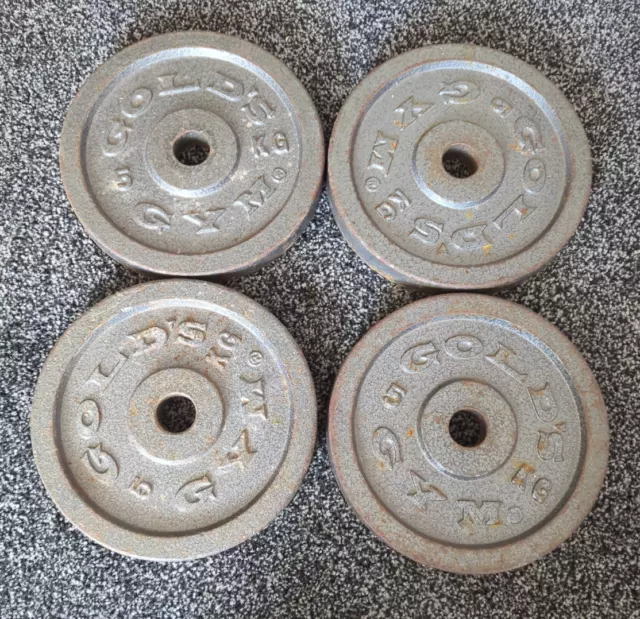 GOLD'S GYM CAST IRON WEIGHT PLATES / 1 INCH (4 x 5KG) 20kg Total