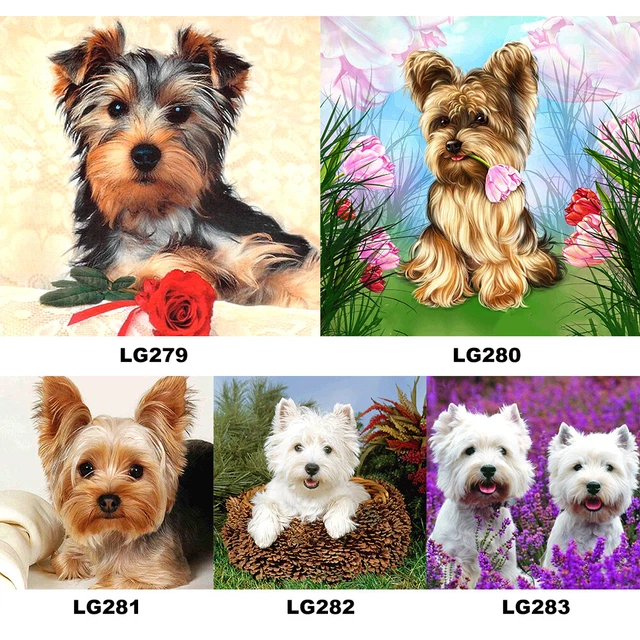 Diamond Painting 5D New York - Quadro Con Diamanti Rotondi 30x40cm Per Decorazione - Foto 12