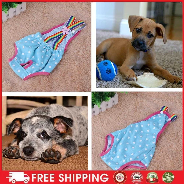 Pañales para perros, pañales para perros, pañales, pañales de higiene, pañales, menstruación