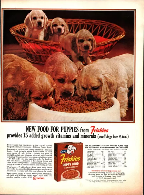 1963 Friskies Puppies Food Ad   Cocker Spaniel Puppy Dogs nostalgic b8