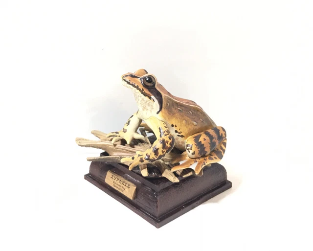 Kitan Club Japan Exclusive EZO Brown Frog Animal Figure