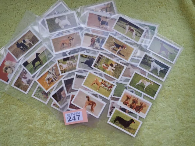 Hornimans Tea 1958 - Dogs - Full set of 48 Trade Cards