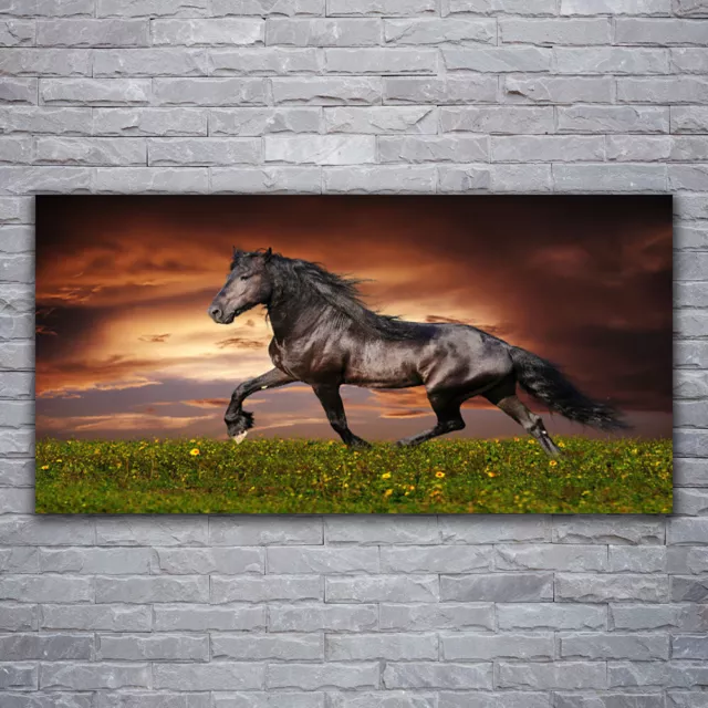 Image sur verre acrylique Tableau Impression 120x60 Animaux Cheval Noir Prairie