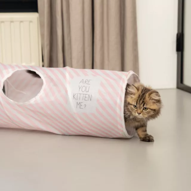 Beeztees Chaton/Chats Tunnel de Jeux Nini, Neuf 2