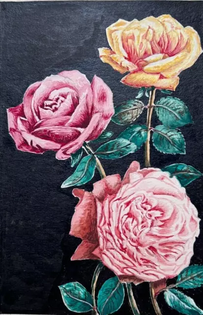 Ancien Dessin Original du 19ème siècle Roses, Fleurs, Nature Morte