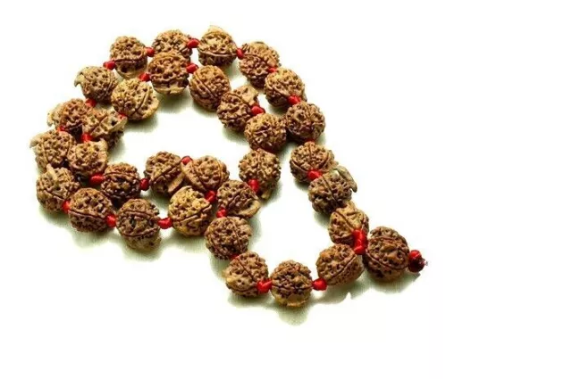 Ganesha Rudraksha Kantha Mala 32 + 1 Perles Népal Origine Énergisé