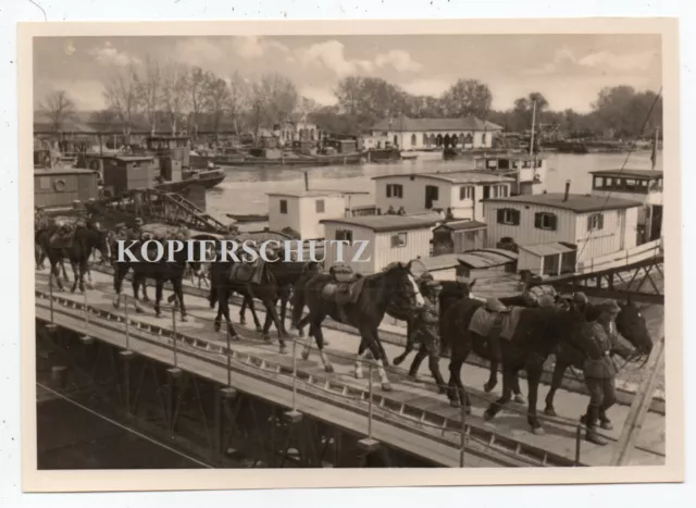 f23- Balkan Gebirgsjäger Rumänien Grenze Bulgarien Notbrücke Pferde