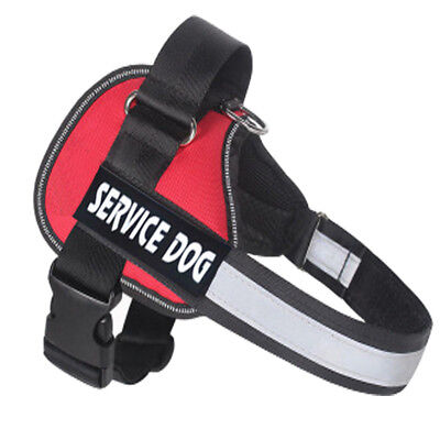 Extra Large Dog Harness Soft Vest Walking Out Hand Strap Pet Collar for Big Dogs