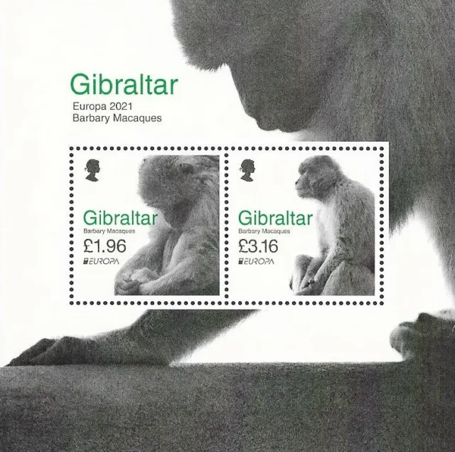 Gibraltar Mi.Nr. Block 145** (2021) postfrisch/Europa: Gefährdete Wildtiere