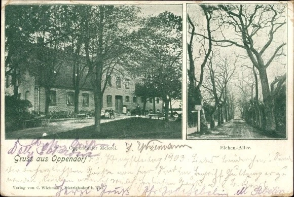 Ak Oppendorf Stemwede in Westfalen, Oppendorfer Meierei, Eichenallee - 3198192