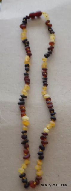 raw  Natural  multicolor   Baltic Amber semi rounded Beads Necklace .16. "   #2