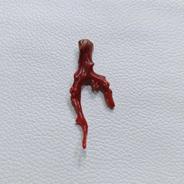 Branche De Corail Naturel Italien - 31,65 Carats, Rouge, Forme Bifide, Non Traitée