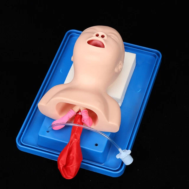 Lab Intubation Manikin Study Teaching Model Baby Airway Management Trainer Tool