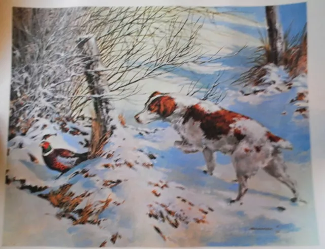 1977 vintage beautiful , lithograph art print " English Springer Spaniel and Phe