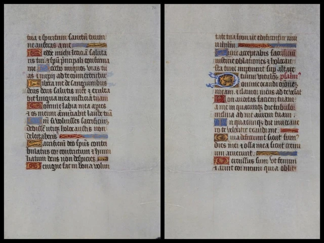 Illuminierte Grafia Su Pergamena Foglia Di Uno Miniatura Um 1500 (053)