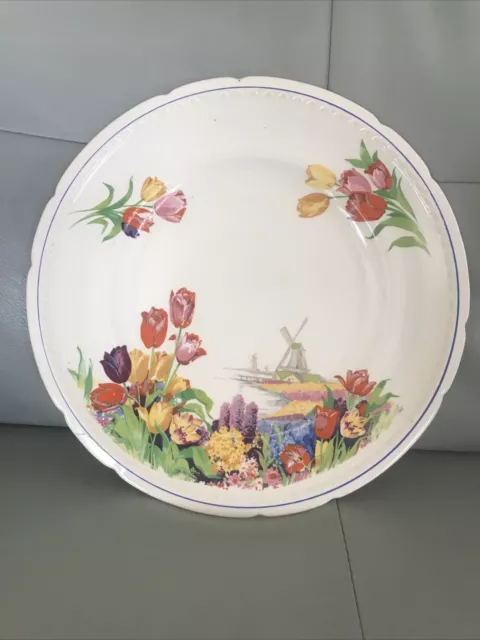 Swinnertons - Staffordshire England “Majestic Vellum” Plate 25cm Tulips