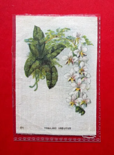 IMPERIAL TOBACCO CANADA ANTIQUE 1913 GARDEN FLOWERS SILK  No 21 TRAILING ARBUTUS