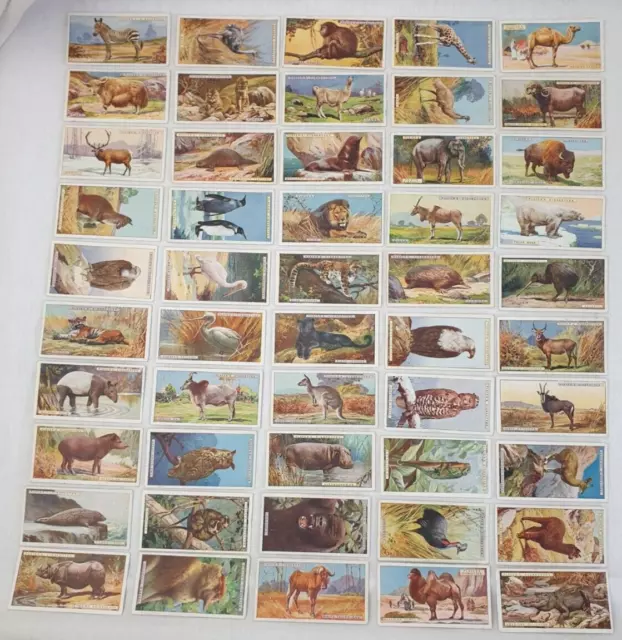 Player's Cigarette Cards Complete Set Natural History