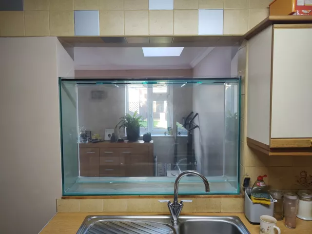 large fish tank