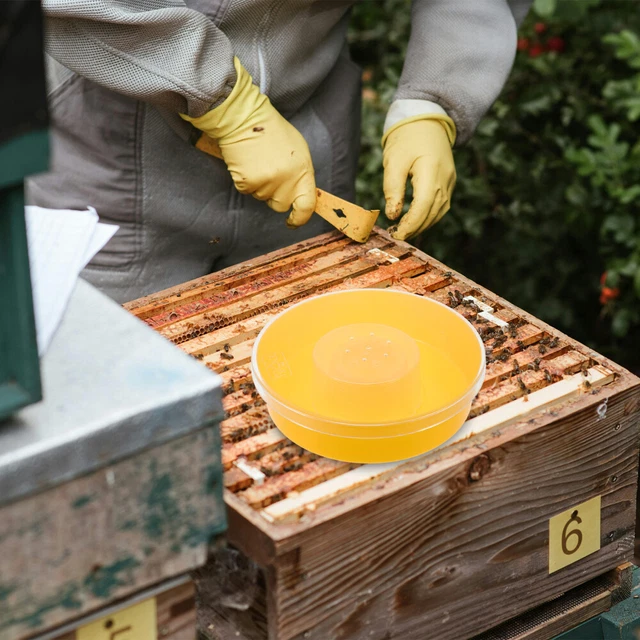 Lot De 3 îles Flottantes Pour Abeilles Et Papillons - Abreuvoir à Insectes Pour Jardin - Pliable - 3