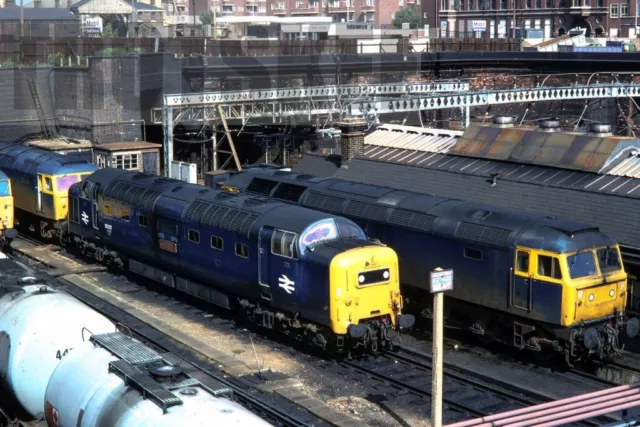 35mm Slide BR British Railways Diesel Loco Class 55 55017 Kings Cross Shed 1977