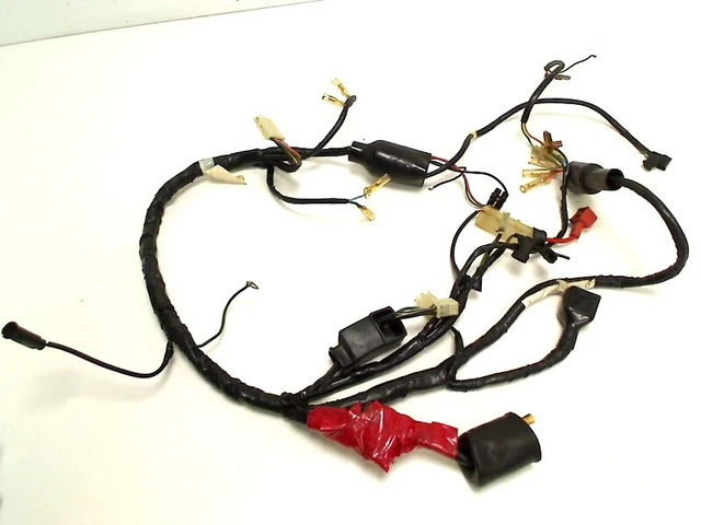cablaggio principale per HONDA NSR 50 1989-1996 169625