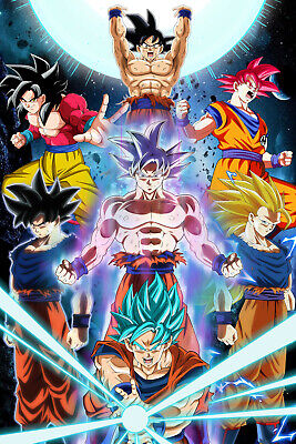 Dragon Ball Z Poster Goku Forms DBZ 12inches x 18inches Free Shipping 