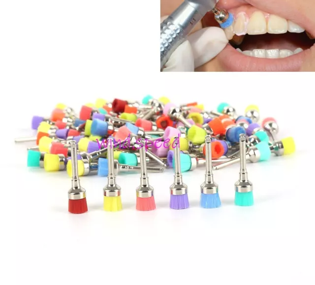 Dental Colorful Nylon Latch Flat Type Polishing Polisher Prophy Brushes Bowl Cup