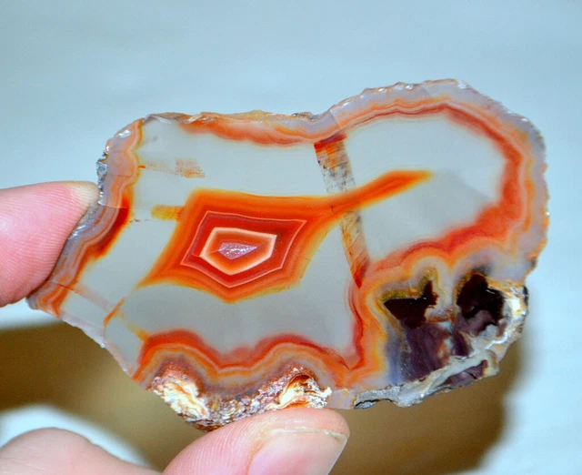 Red Condor  Agate Slice from Mendoza Argentina * Collector Piece * very rare *