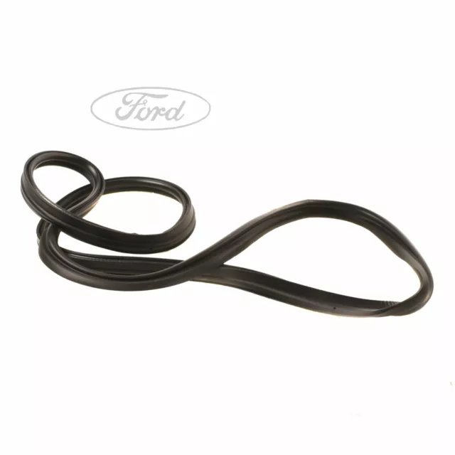 Genuine Ford Fiesta MK7 Rear Boot Tailgate Weatherstrip Seal 1747419