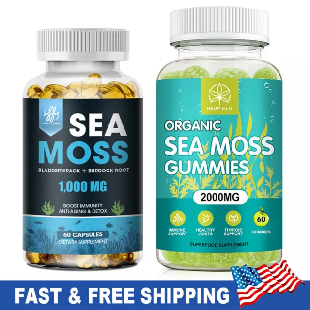 Organic Sea Moss Capsules, Irish Sea Moss, bladderwrack & Burdock Root Gummies