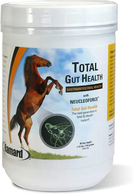 Total Gut Health for Horses - Digestive Relief for Your Horse - Natural