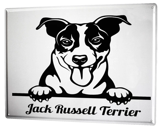 Targa In Metallo Bombata 12x18 Cm - Cane Di Questa Casa Custodito Jack Russell, Prodotta In Germania - 4