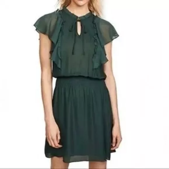 PARKER womens size XS Remington forest green ruffled silk dress