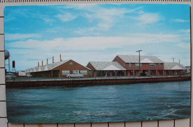 Oceanic Motel Ocean City Maryland  Vintage Postcard unposted