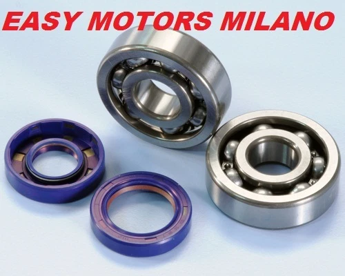 OS. Motori 25830010 50SX-H 55HZ 55AX Cuscinetto Posteriore OS. Motori 25830010 50SX-H 55HZ 55AX Cuscinetto Posteriore
