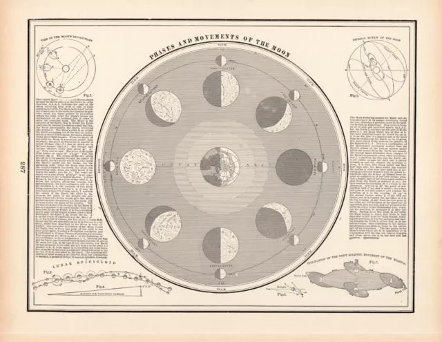 1894 Antique ASTRONOMY Print Wall Art Decor Moon Phases New Moon Full Moon 739