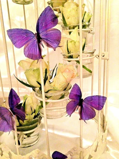 https://www.picclickimg.com/-L8AAOSw5KFbS4GI/Wedding-Butterflies-8-Sparkling-3D-Cadbury-Purple-Bird.webp