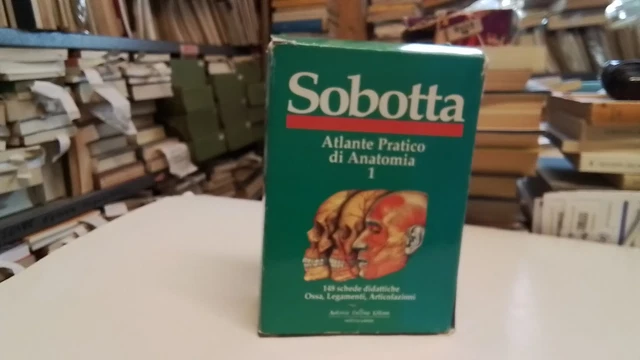 Sobotta Atlante pratico di anatomia 1, Schede , Ossa, Legamenti...20gn25 Sobotta Atlante pratico di anatomia 1, Schede , Ossa, Legamenti...20gn25