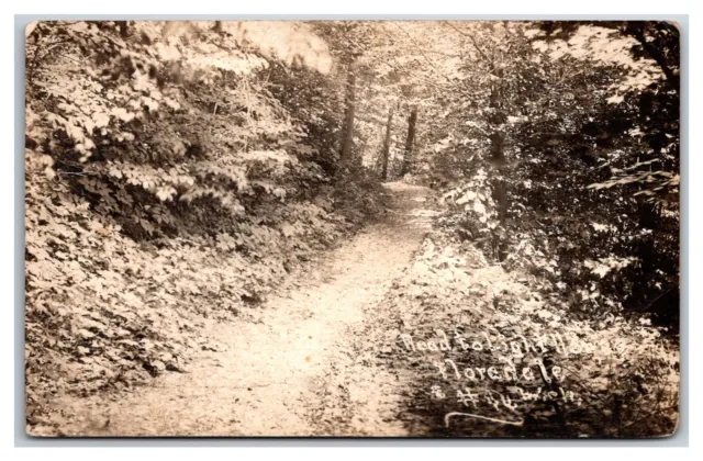RPPC FLORA DALE MEARS ~ Road to the LIGHT HOUSE ~ Little Sable Point