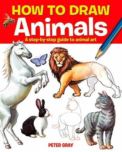 HOW TO DRAW Animals: A step-by-step guide to animal art. Gray ...
