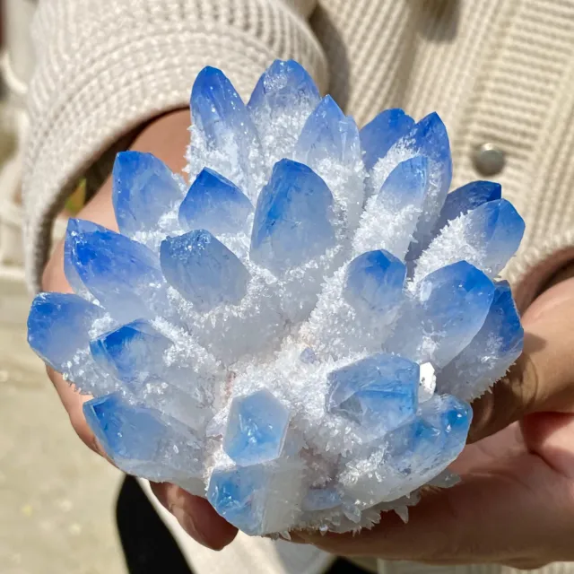 1.6LB New Find sky blue Phantom Quartz Crystal Cluster Mineral Specimen Healing 11