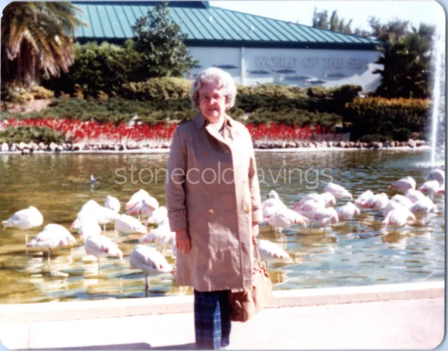 Vintage Found Photo - 1980s - Old Woman Poses With Flamingos At Sea World