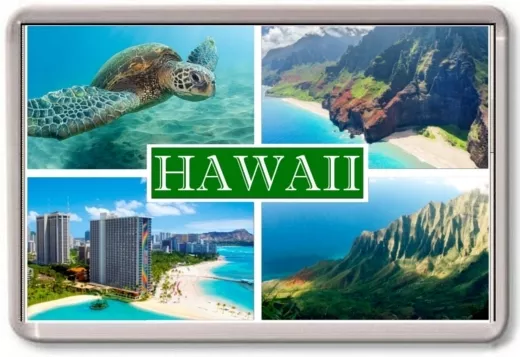 FRIDGE MAGNET - HAWAII - Large - USA America TOURIST