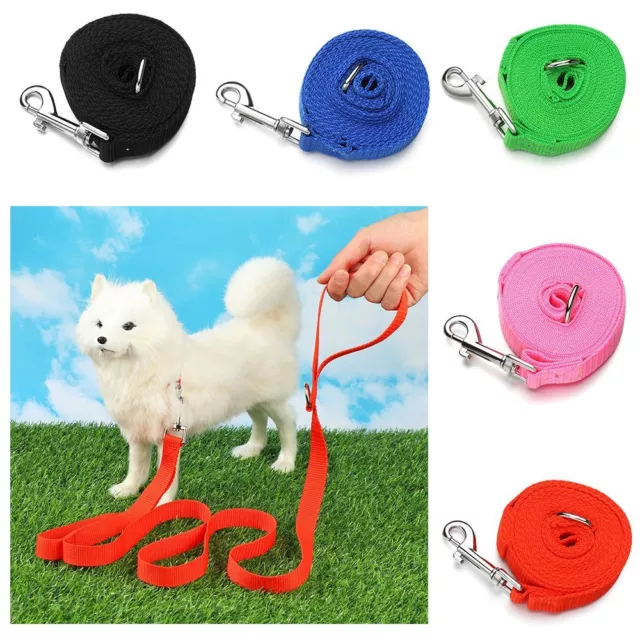 de sangle Laisse pour animaux de compagnie Corde de traction Sangle de plomb