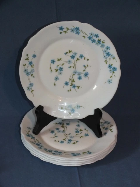 Assiettes plates ARCOPAL 6, collection Veronica Myosotis - Vintage années 1970, fabriquées en France - Design rétro - France