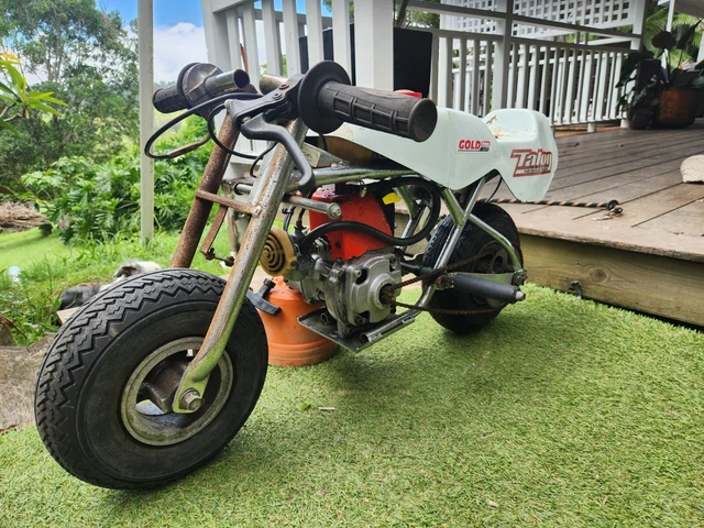 VINTAGE DANDY POCKET Bike PicClick AU