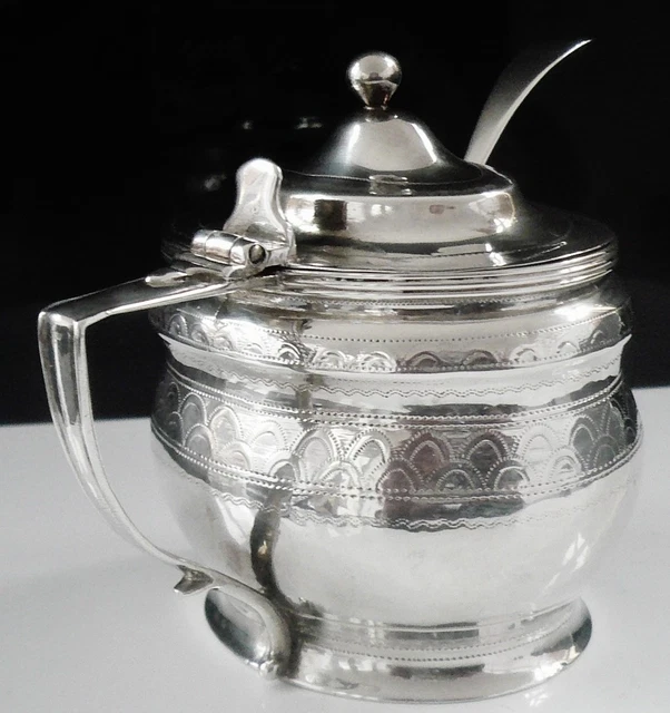 Large Antique Sterling Silver Mustard Pot, London 1801, Alexander Field