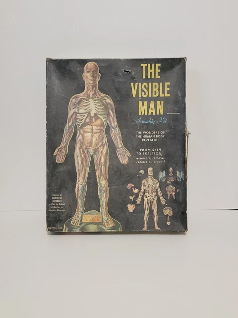 Visual Men THE VISIBLE MAN Anatomy Science Assembly Kit 1959 Renwal Brand W/Box ...